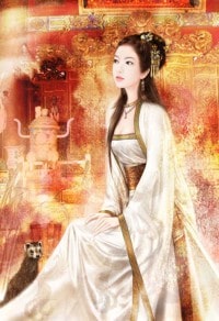 神奇寶貝之少年武士
