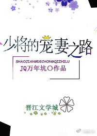 少將的寵妻之路（gl）