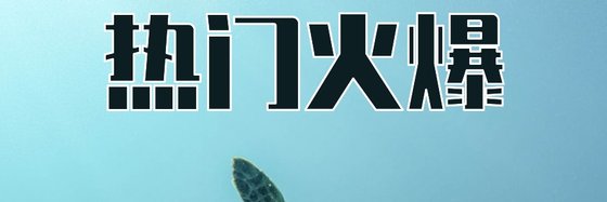 熱門火爆&好看28本重生小說